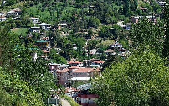 Haftalık Bülten (Sayı: 3)